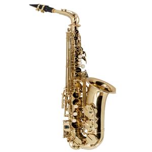 Saxofone Vogga Alto Laqueado VSAS701N